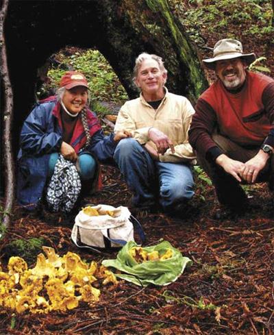 foraging